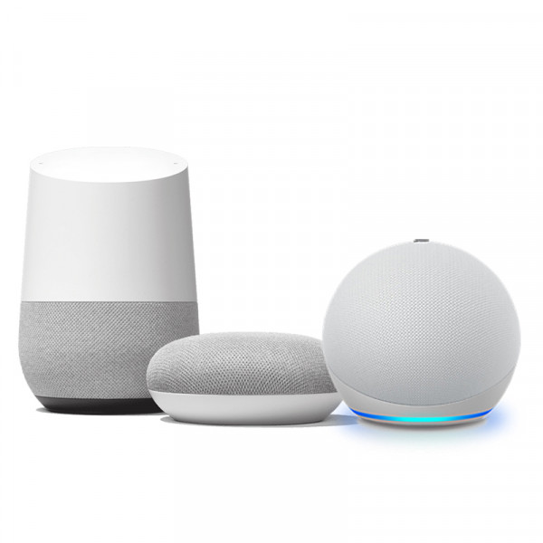 Smart Speaker (e.g., Alexa, Google Home)